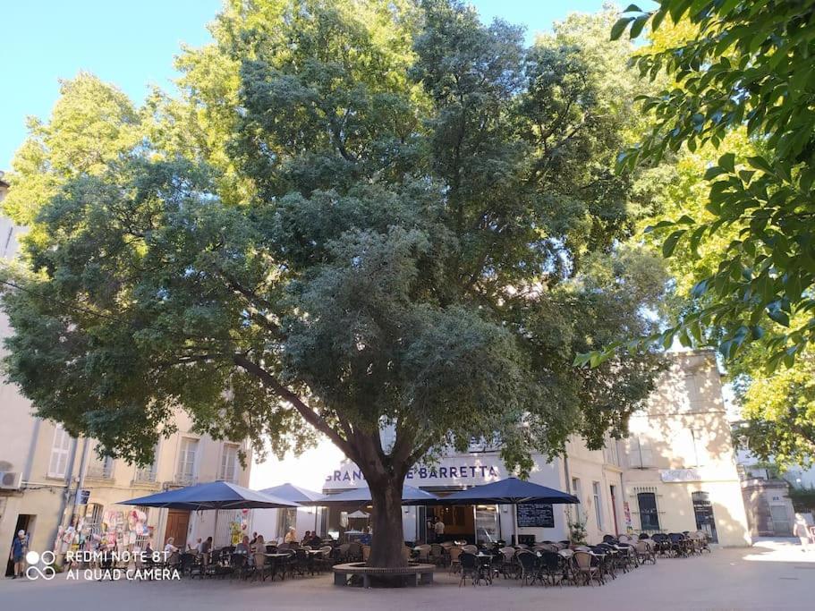 Bel Appartement Dans Centre Historique Avignon Exterior foto